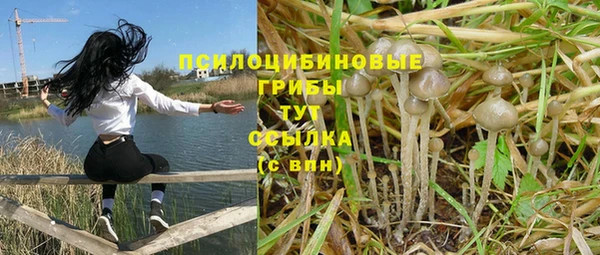 каннабис Алексеевка