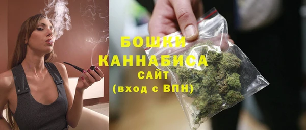 дурь Няндома
