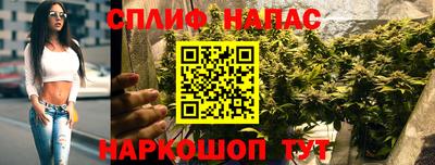 прущие грибы Аргун